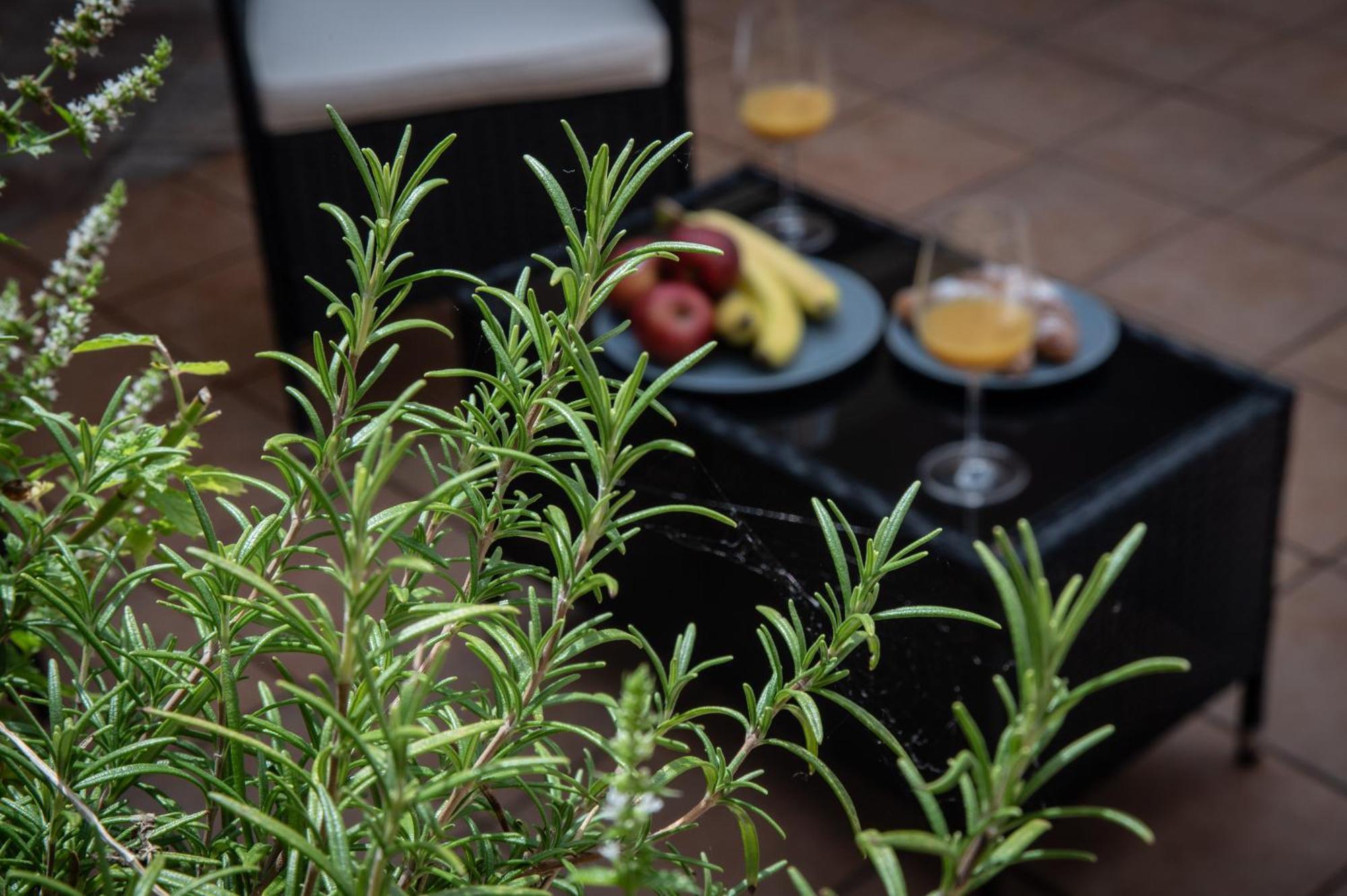 White Swan Boutique Apartments Prága Kültér fotó